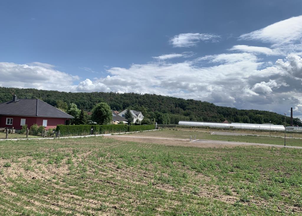 Blick Richtung Grundstück und Golkwald